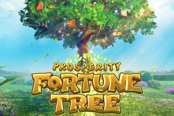 Prosperity Fortune Tree Apostatudo